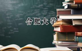 合肥大學2024在河北錄取分數(shù)線是多少？最低510分/最高576分