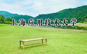 上海应用技术大学2024在贵州录取分数线是多少？最低381分/最高554分