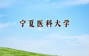 宁夏医科大学2024在上海录取分数线是多少？最低496分/最高531分