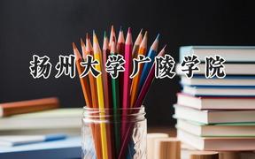 2024扬州大学广陵学院录取分数线：江苏最低462分