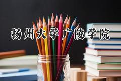 2024扬州大学广陵学院录取分数线：江苏最低462分
