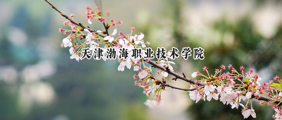 天津渤海职业技术学院