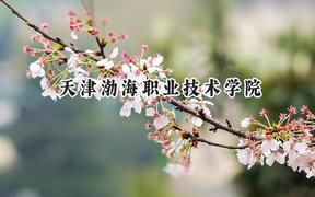 天津渤海职业技术学院2024在天津录取分数线是多少？最低226分/最高239分