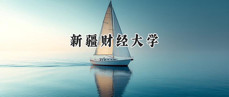 新疆财经大学