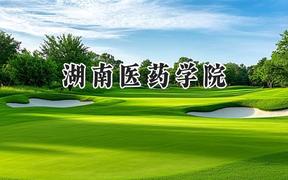 湖南医药学院2024在山西录取分数线是多少？最低422分/最高484分