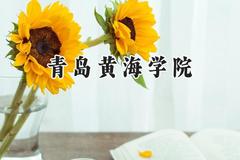 青岛黄海学院2024在河北录取分数线是多少？最低233分/最高483分