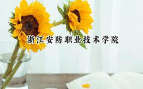 浙江安防职业技术学院2024在河北录取分数线是多少？最低378分/最高425分