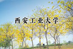 西安工业大学2024在重庆录取分数线是多少？最低534分/最高592分
