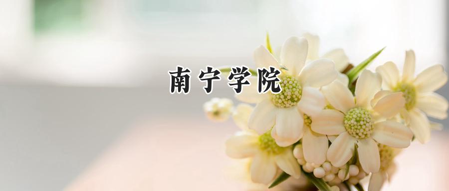 南宁学院