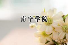 南宁学院2024在江苏录取分数线是多少？最低465分/最高480分
