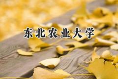 东北农业大学2024在天津录取分数线是多少？最低575分/最高610分