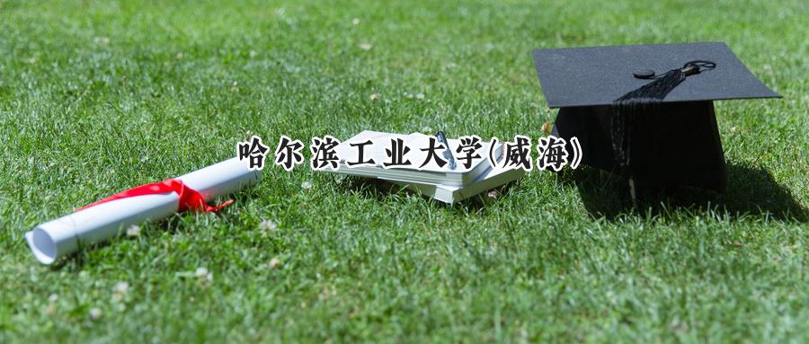 哈尔滨工业大学(威海)2024在浙江录取分数线是多少？最低646分/最高662分-第1张图片-索考网