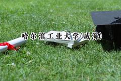 哈尔滨工业大学(威海)2024在浙江录取分数线是多少？最低646分/最高662分