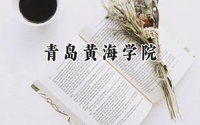 青岛黄海学院2024在天津录取分数线是多少？最低210分/最高490分