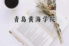 青岛黄海学院2024在天津录取分数线是多少？最低210分/最高490分