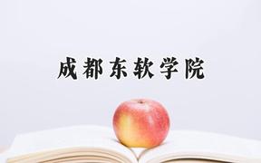 成都东软学院2024在浙江录取分数线是多少？最低480分/最高541分