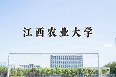 2024江西农业大学录取分数线：天津最低484分