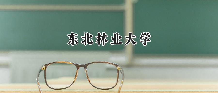 东北林业大学