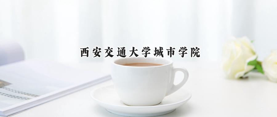 西安交通大学城市学院