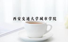 西安交通大学城市学院2024在天津录取分数线是多少？最低491分/最高493分