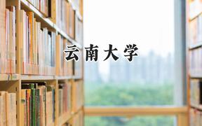 云南大学2024在上海录取分数线是多少？最低515分/最高531分