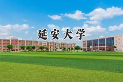延安大学2024在江苏录取分数线是多少？最低530分/最高546分