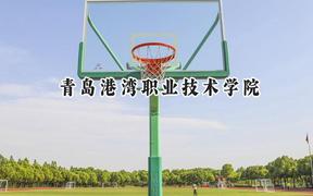 青島港灣職業(yè)技術(shù)學(xué)院2024在遼寧錄取分?jǐn)?shù)線是多少？最低154分/最高415分