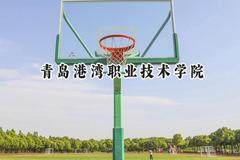 青岛港湾职业技术学院2024在辽宁录取分数线是多少？最低154分/最高415分