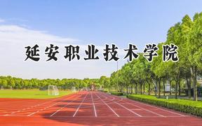2024延安职业技术学院录取分数线：青海最低269分
