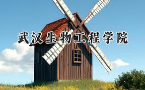 武汉生物工程学院2024在重庆录取分数线是多少？最低310分/最高496分