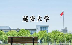 延安大学2024在河北录取分数线是多少？最低524分/最高590分