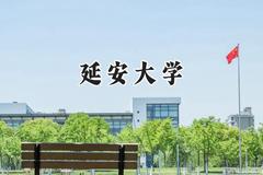 延安大学2024在河北录取分数线是多少？最低524分/最高590分