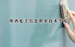 2024陕西电子信息职业技术学院录取分数线：宁夏最低313分