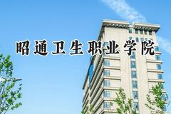 2024昭通卫生职业学院录取分数线：青海最低246分