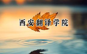 西安翻译学院2024在江苏录取分数线是多少？最低462分/最高493分