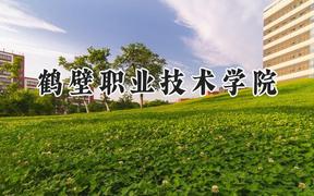 鹤壁职业技术学院2024在贵州录取分数线是多少？最低215分/最高353分