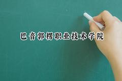 2024巴音郭楞职业技术学院录取分数线：青海最低238分