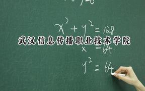 武漢信息傳播職業(yè)技術(shù)學(xué)院2024在浙江錄取分?jǐn)?shù)線是多少？最低358分/最高411分