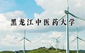 黑龙江中医药大学2024在河北录取分数线是多少？最低515分/最高605分
