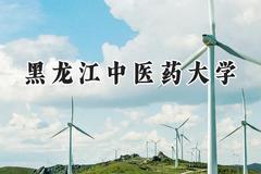 黑龙江中医药大学2024在河北录取分数线是多少？最低515分/最高605分