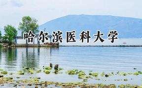 哈尔滨医科大学2024在浙江录取分数线是多少？最低539分/最高664分