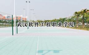 武汉软件工程职业学院2024在山西录取分数线是多少？最低356分/最高399分