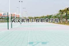 武汉软件工程职业学院2024在山西录取分数线是多少？最低356分/最高399分