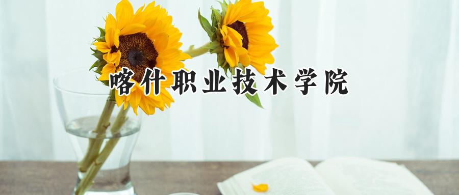 喀什职业技术学院