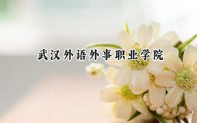 武汉外语外事职业学院2024在天津录取分数线是多少？最低154分/最高251分