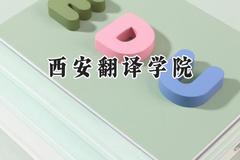 2024西安翻译学院录取分数线：宁夏最低312分