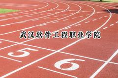 武汉软件工程职业学院2024在浙江录取分数线是多少？最低466分/最高543分