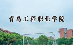 青岛工程职业学院2024在河北录取分数线是多少？最低395分/最高448分