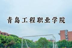 青岛工程职业学院2024在河北录取分数线是多少？最低395分/最高448分