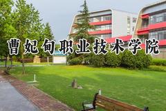 曹妃甸职业技术学院2024在河北录取分数线是多少？最低259分/最高402分